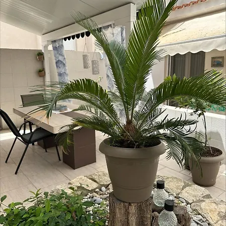 Patio Hanioti