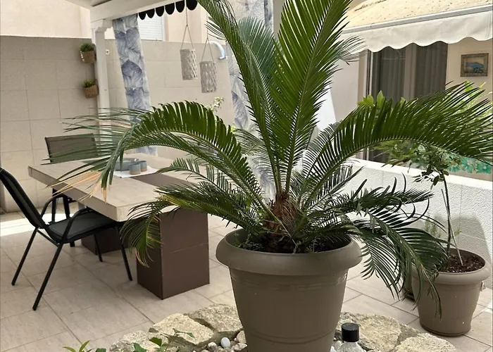 Patio חניוטי